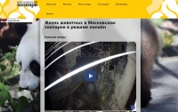Как стать виртуальным гостем Московского зоопарка