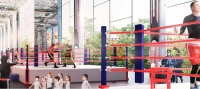 В Центре самбо и бокса в Лужниках появится уникальная система зеркальных потолков