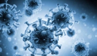 Правительство утвердило порядок предоставления данных о новых штаммах коронавируса