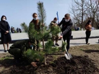 За три недели акции «Сад памяти» высажено 2 миллиона новых деревьев