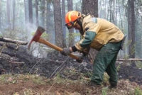 760 лесных пожаров ликвидировали в России за неделю