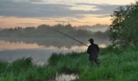 В России появился новый вид использования лесов – для осуществления рыболовства