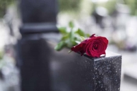 В Подмосковье онлайн-сервисом по предоставлению мест для захоронений воспользовались 2500 раз