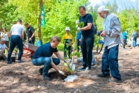 На пострадавшем от урагана участке «Лосиного острова» высадили «Сад памяти»