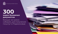 300 видов бумажных документов перестали собирать жители Подмосковья для получения госуслуг