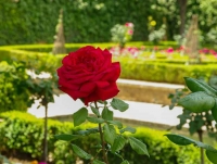 Фестиваль здоровья «Если у вас есть сердце» с открытием новой уникальной экспозиции «Сад ароматов»