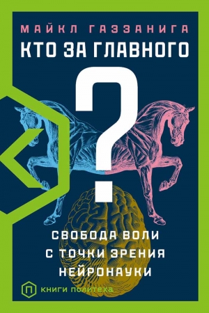 Политех на Non/fiction: книжные новинки музея, научные игры для детей, дискуссии о работе мозга и поисках истины