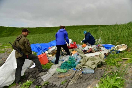 Учёные выяснили, какой вид мусора угрожает морским животным Камчатки