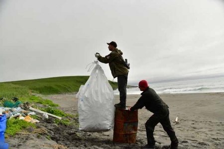 Учёные выяснили, какой вид мусора угрожает морским животным Камчатки