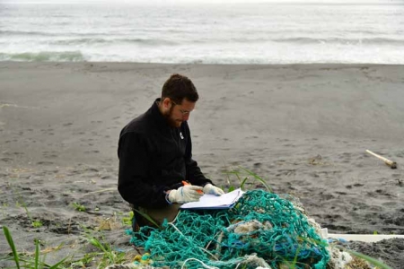 Учёные выяснили, какой вид мусора угрожает морским животным Камчатки