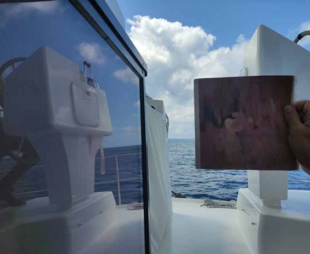 Арт-тур-шоу «Артефакт» художницы Виктории Валюк снова продолжается в Карибском море