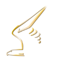 Объявлен шорт-лист номинантов на премию «Золотой орел» за 2021 год
