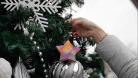 Выиграй подарок, сделанный пандой. Московский зоопарк проводит уникальный новогодний конкурс