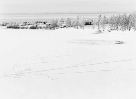 Галерея классической фотографии представит Portfolio #2 Максима Бедова.