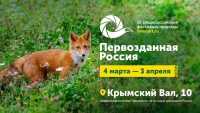 Природу крупным планом покажут на IX Общероссийском фестивале природы «Первозданная Россия»