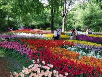 XXI Весенний фестиваль цветов