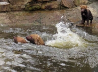 Московский зоопарк переходит на весенний режим работы