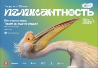 Международная интерактивная выставка «Пеликаны мира» открылась в Московском зоопарке