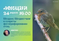 В рамках выставки «Пеликантность. Пеликаны мира» пройдет курс научно-популярных лекций о природе и животных