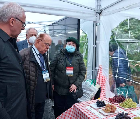 Соглашение о сотрудничестве между МГУ и ВООП