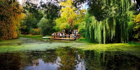 Проект «Renature. Вернем природу в город»