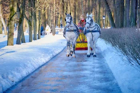 Широкая масленица в Архангельском