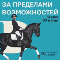 В подмосковном Horseka Sport состоится первое в России конное дерби