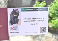 Белогрудый гималайский медведь стал талисманом «Русского Радио»