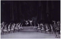В Бахрушинском с «Друзьями Большого балета» встретится премьер Большого