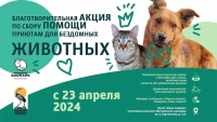 Московский зоопарк и Фонд сохранения национальной природы запускают акцию по сбору помощи для приютов