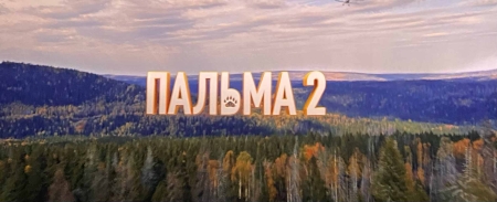 «Пальма-2» выходит на экраны
