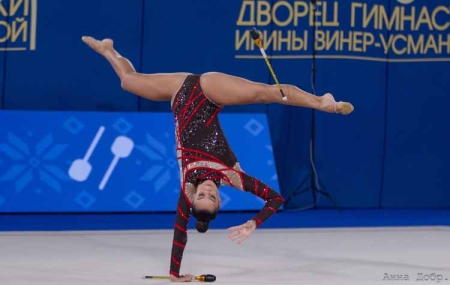 Гимнастическая красота во Дворце Винер