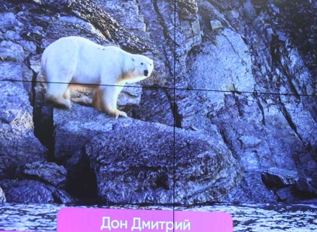 Пресс-конференция фотоконкурса БОМБОРА 2025