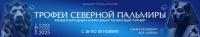 «Трофеи Северной Пальмиры 2025» – самое ожидаемое событие года!