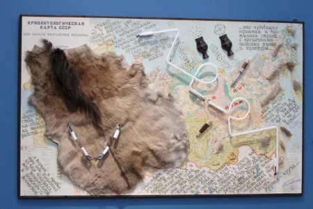 «Арктика. Полюс цвета»