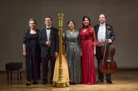 Шедевры австро-венгерской музыки