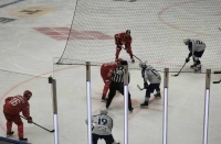 Красно-белые не испугались барса