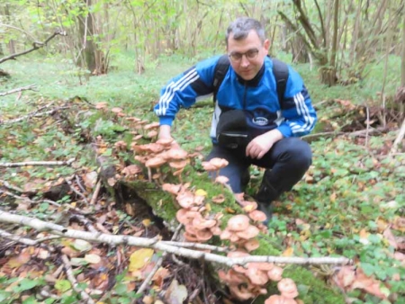 Дождевой грибной тур